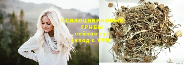 синтетический гашиш Алексеевка