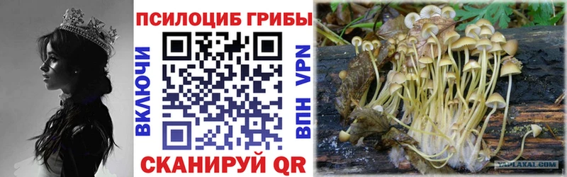 ссылка на мегу маркетплейс  Обоянь  shop Telegram  Псилоцибиновые грибы прущие грибы 